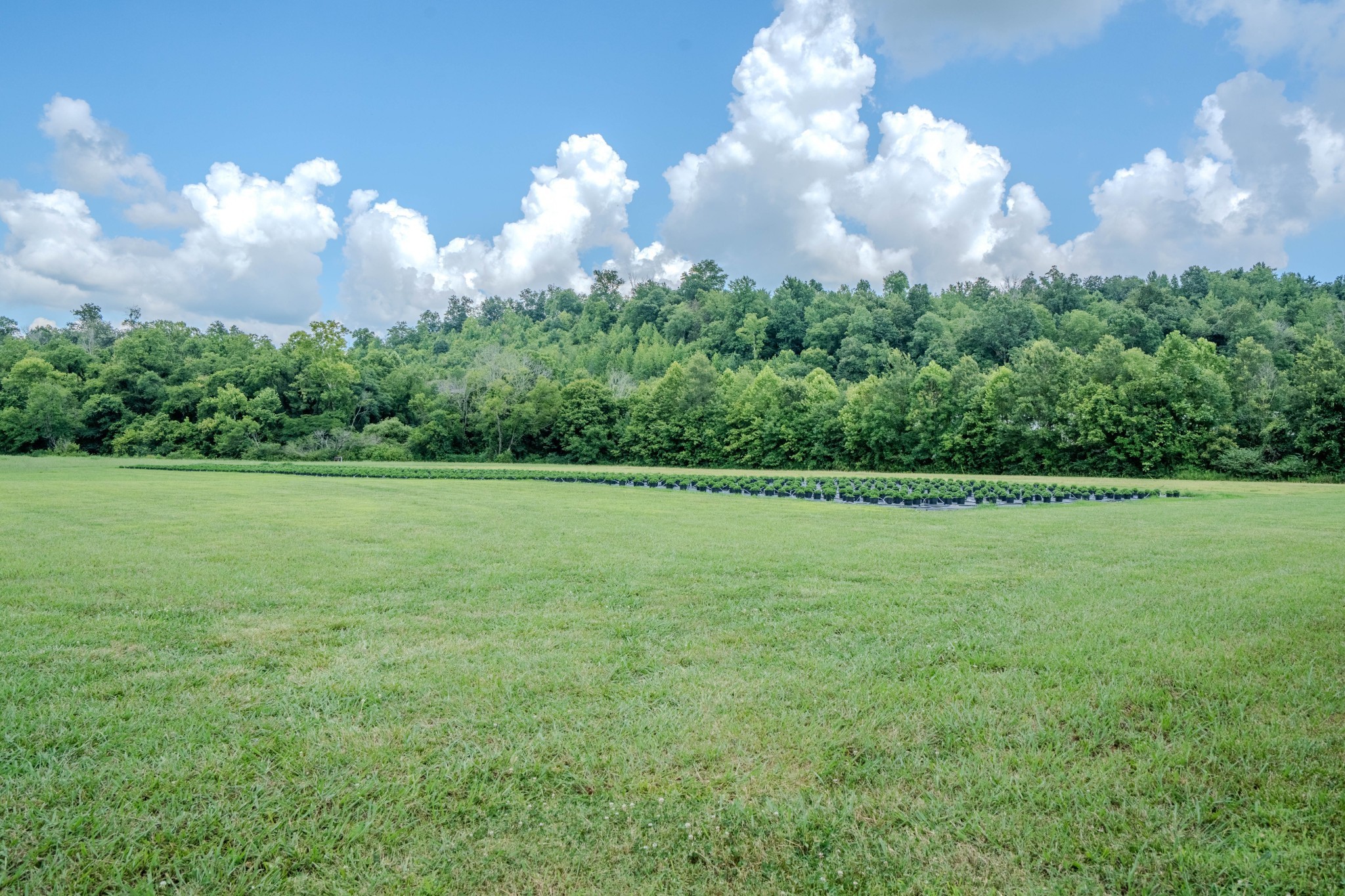 2461 Bodenham Road Pulaski, TN 38478 - Photo 43 of 59 a view of a city