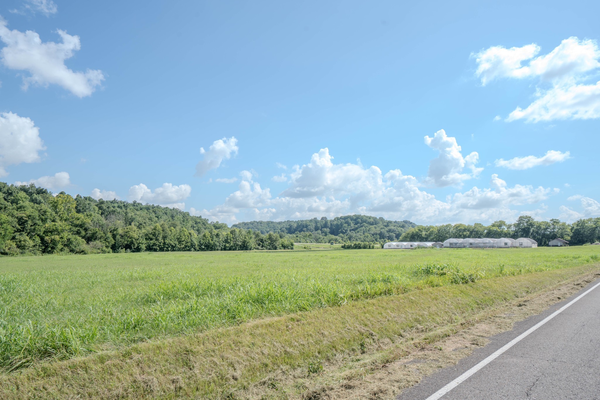 2461 Bodenham Road Pulaski, TN 38478 - Photo 59 of 59 a view of a big yard with large trees