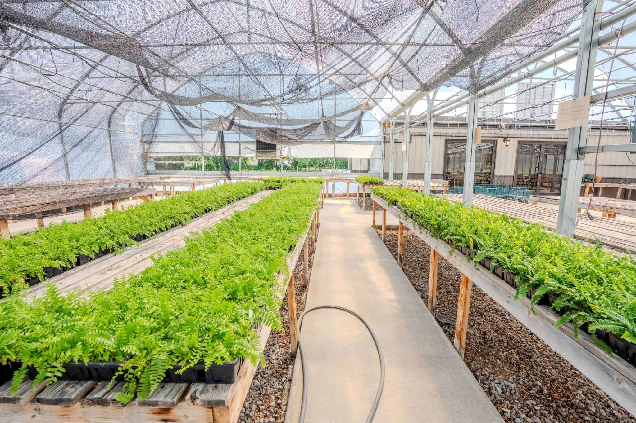 2461 Bodenham Road Pulaski, TN 38478 - Photo 9 of 59 a view of a house with a yard