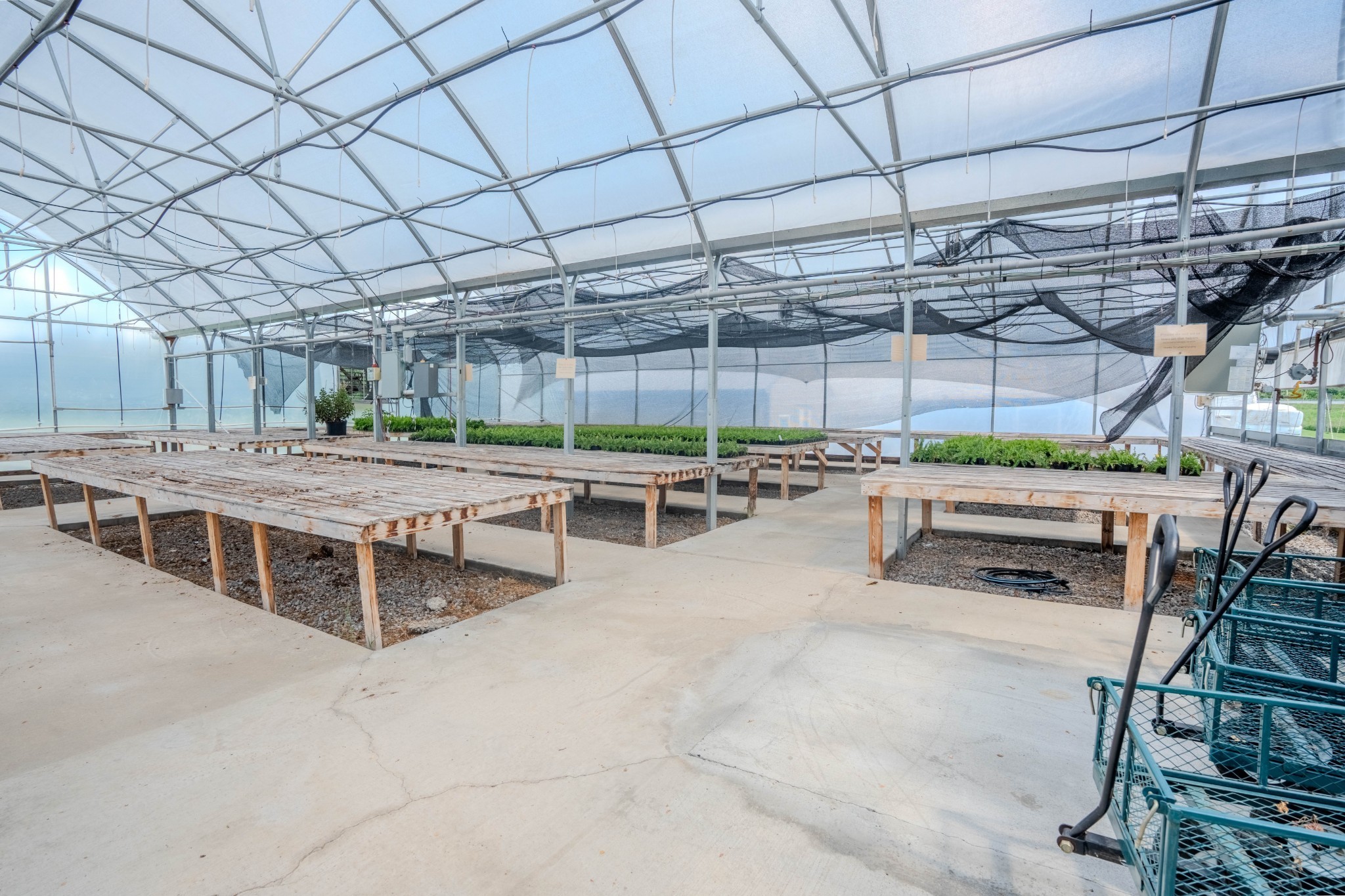 2461 Bodenham Road Pulaski, TN 38478 - Photo 10 of 59