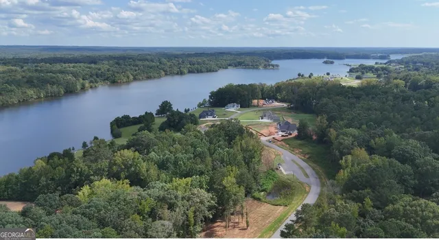 an aerial view of a residential houses with outdoor space and lake view