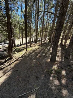 a view of road with trees