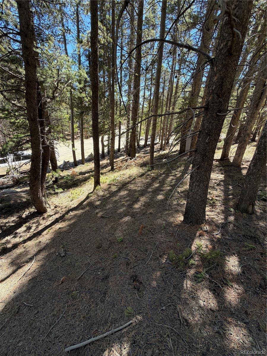 Lot 378 Alice Road Idaho Springs, CO 80452 - Photo 12 of 26 a view of dirt yard with a large tree