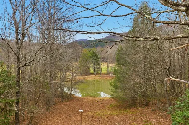 a view of a yard with a table and chairs