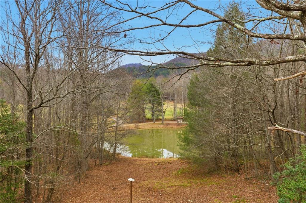 61 Bear Ridge Road Cleveland, GA 30528 - Photo 26 of 71