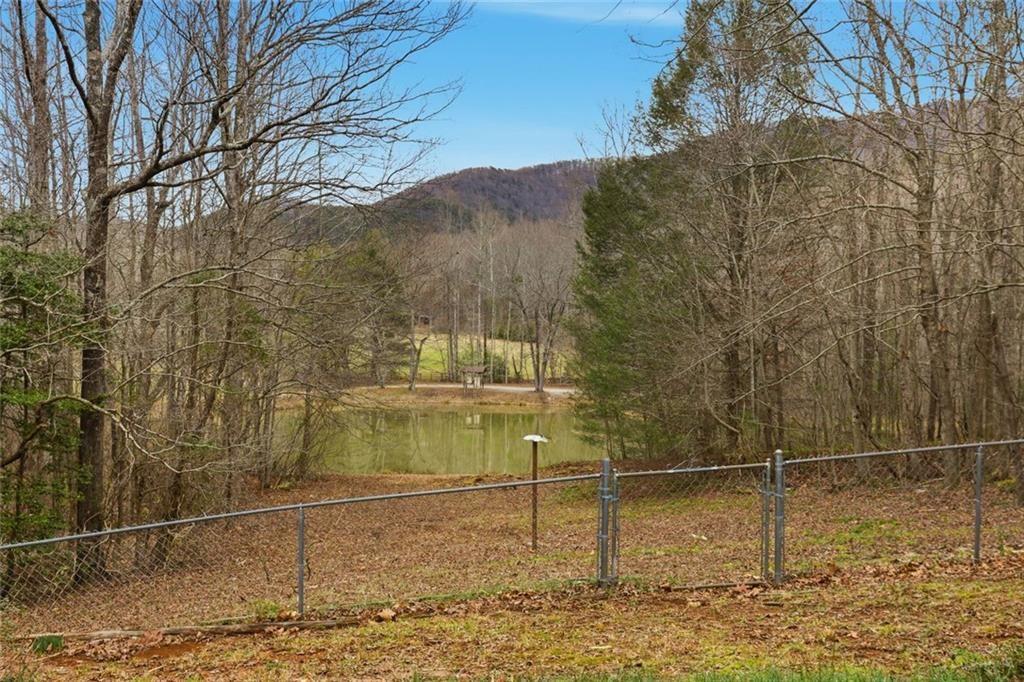 61 Bear Ridge Road Cleveland, GA 30528 - Photo 49 of 71 a backyard of a house