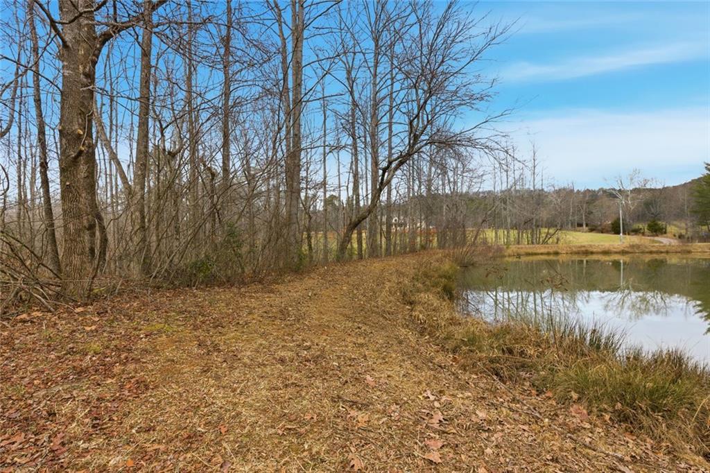 61 Bear Ridge Road Cleveland, GA 30528 - Photo 50 of 71