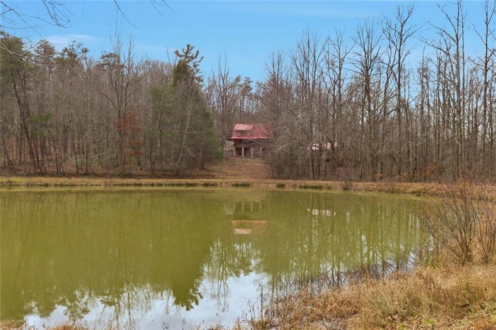 61 Bear Ridge Road Cleveland, GA 30528 - Photo 51 of 71 a view of a water pond with trees in the background