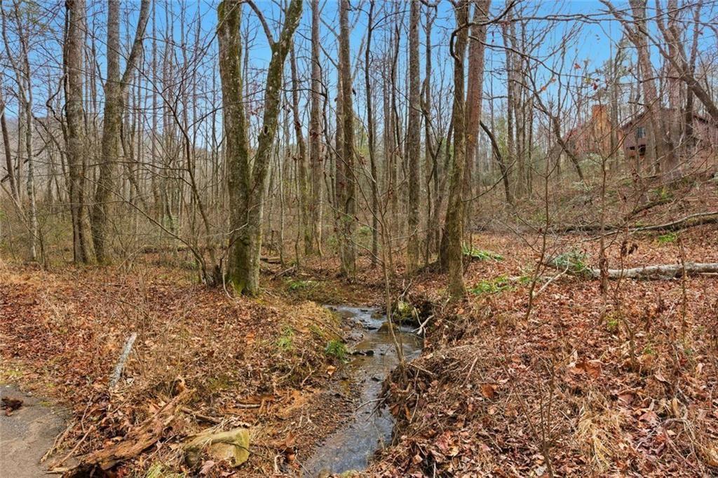 61 Bear Ridge Road Cleveland, GA 30528 - Photo 56 of 71 a view of backyard with tree