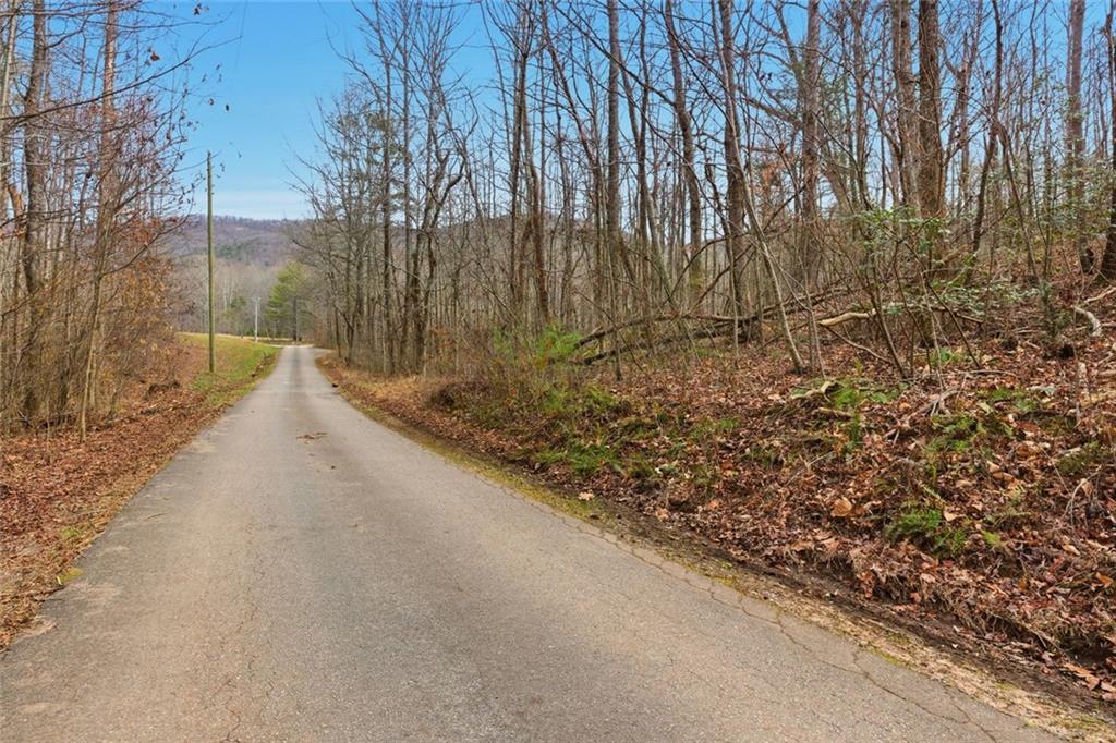 61 Bear Ridge Road Cleveland, GA 30528 - Photo 57 of 71