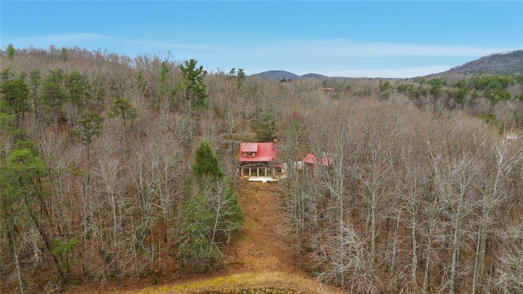 61 Bear Ridge Road Cleveland, GA 30528 - Photo 70 of 71