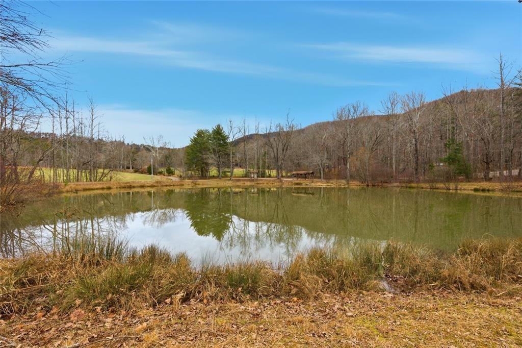 61 Bear Ridge Road Cleveland, GA 30528 - Photo 8 of 71