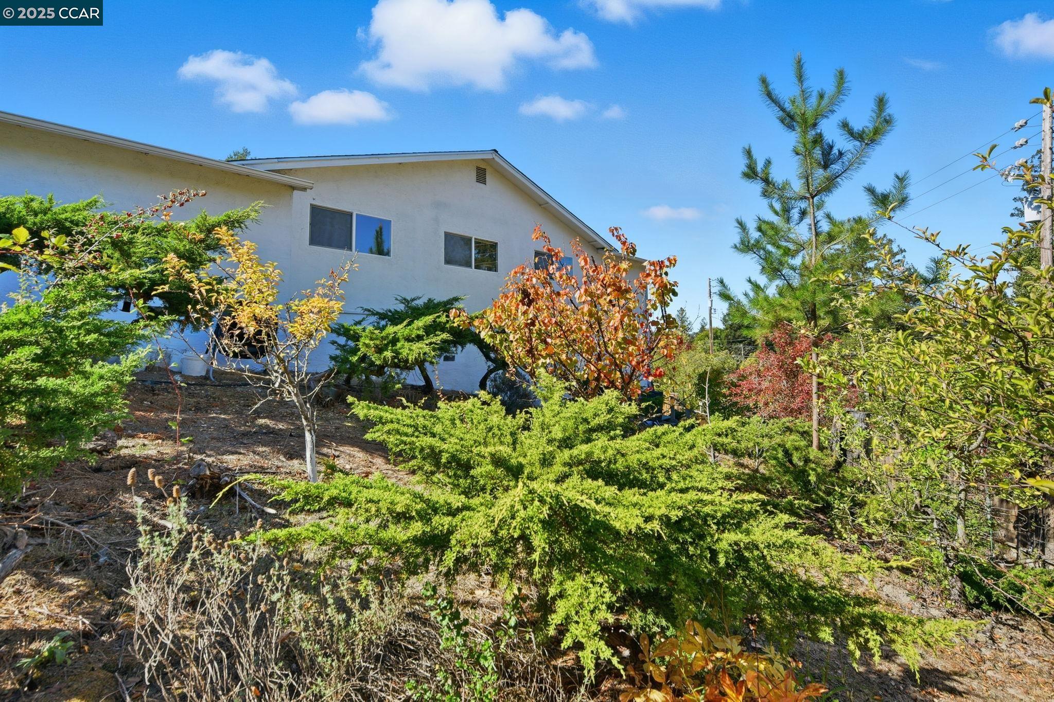 92 Gaywood Place Moraga, CA 94556 - Photo 36 of 52 a front view of a house with a yard