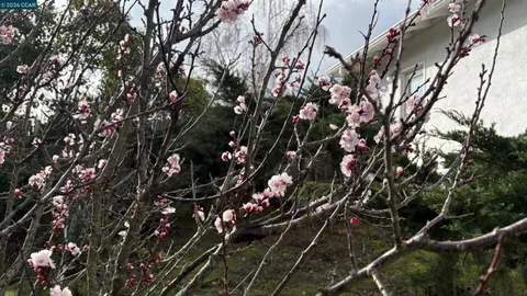 $1,375,000 | 92 Gaywood Place, Moraga, CA 94556