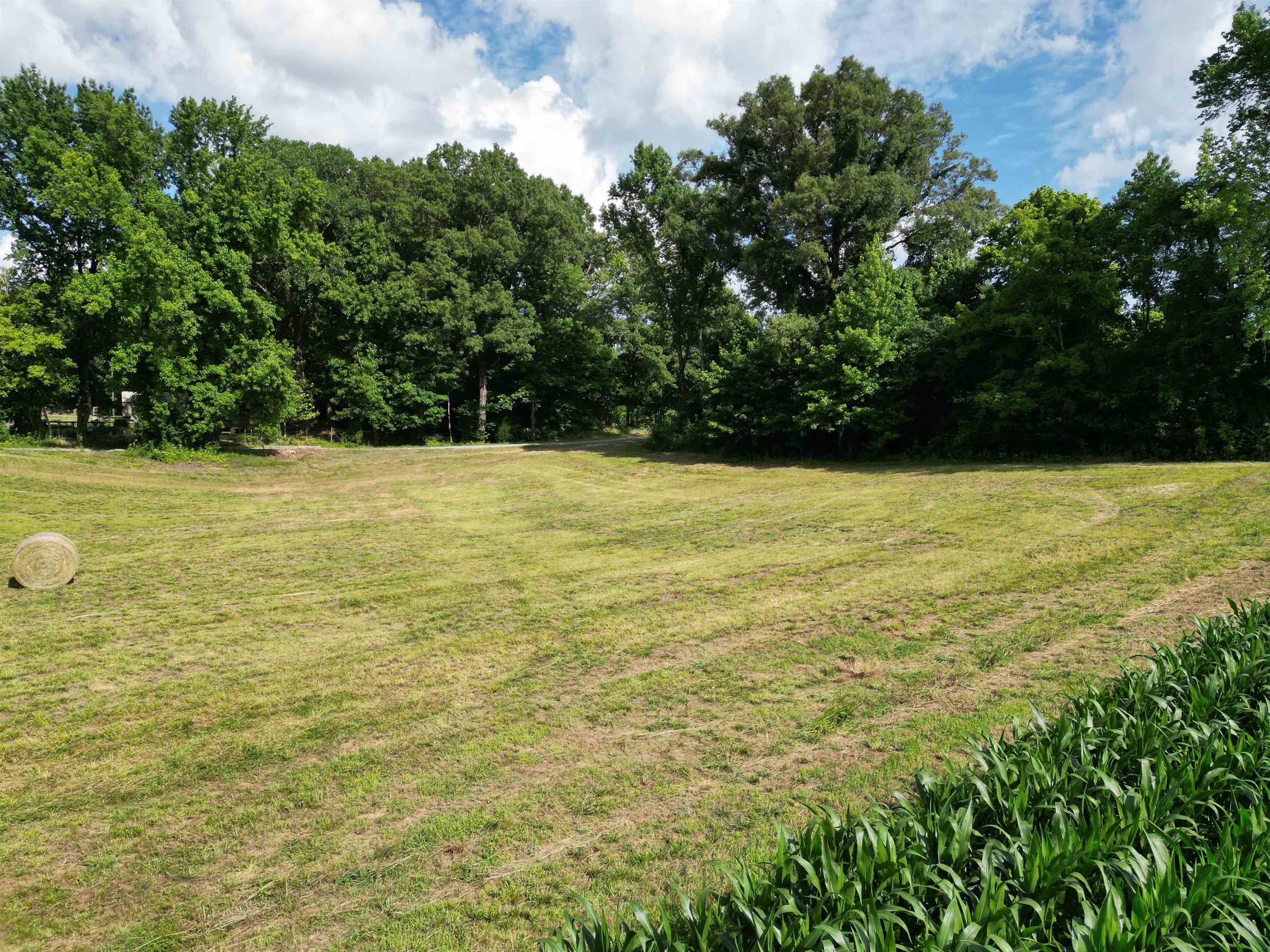 4035 Atoka Idaville Road Atoka, TN 38004 - Photo 12 of 25