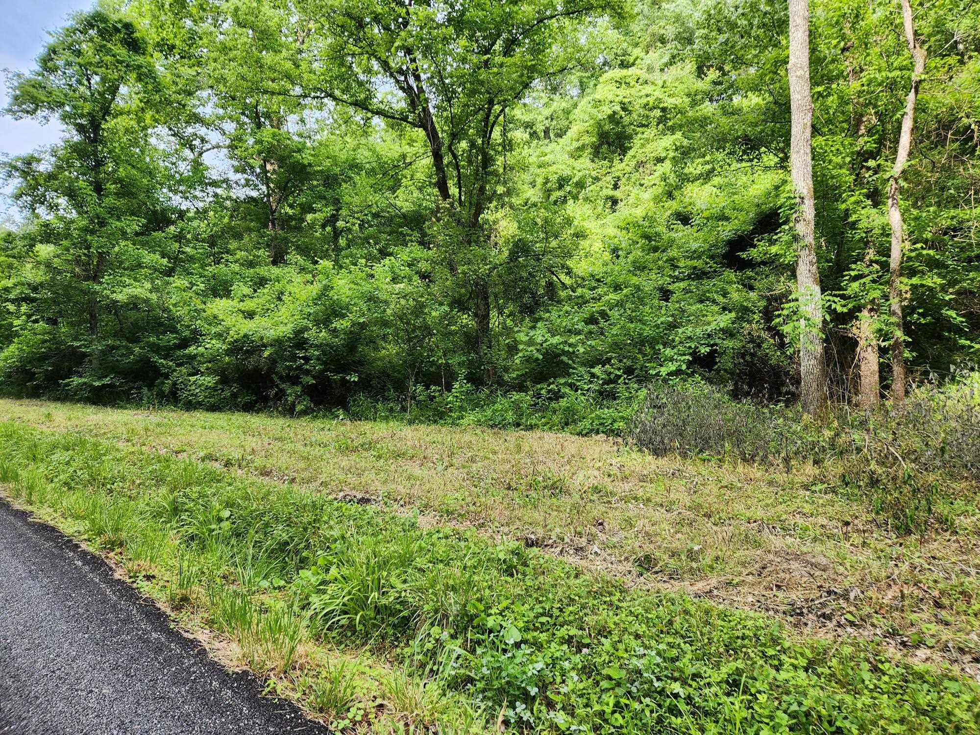 0 Clay Hollow Road Rush, KY 41168 - Photo 49 of 50 Gallery Image 49