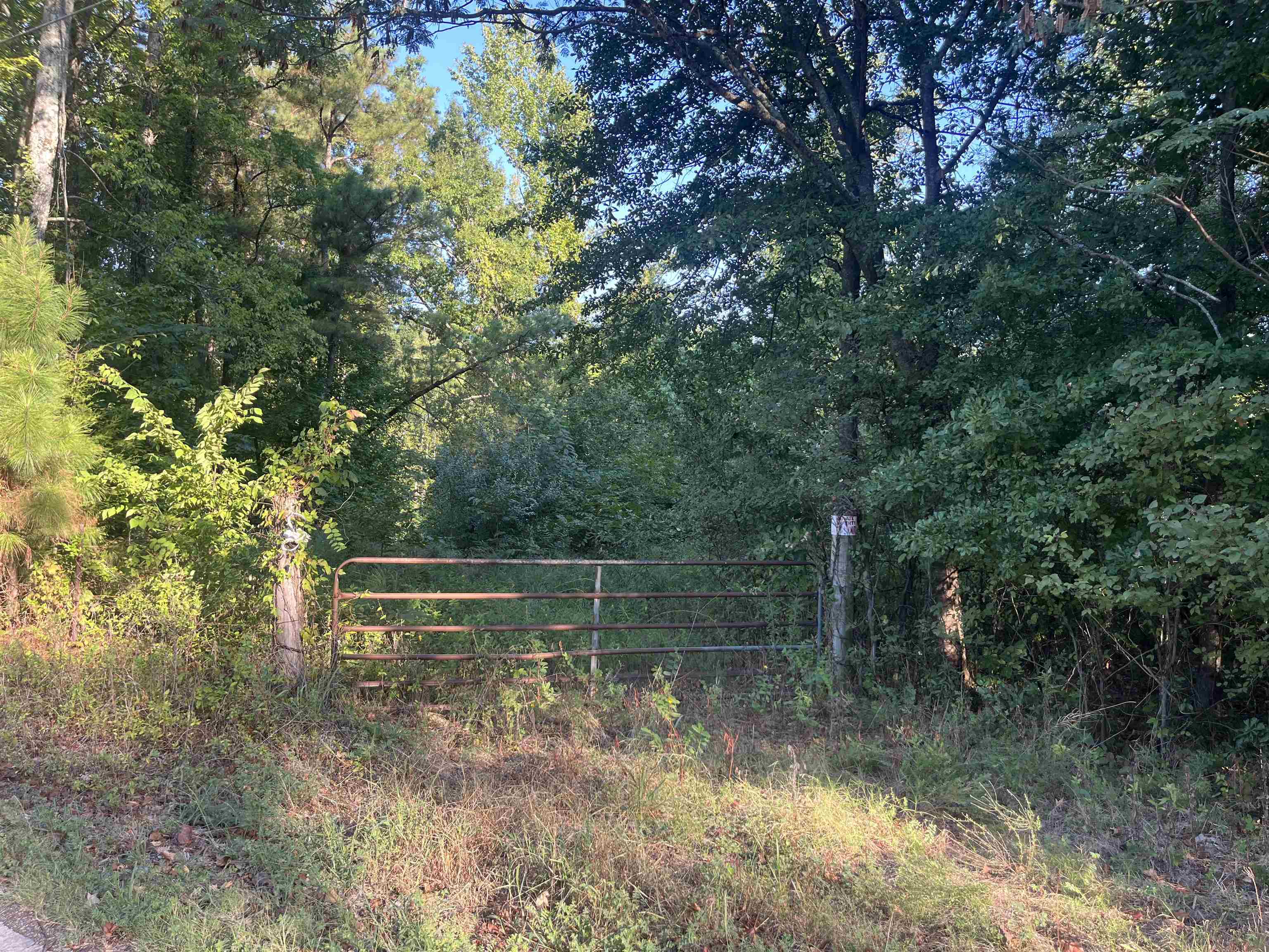 0 St Paul Road Millington, TN 38053 - Photo 3 of 5 Gallery Image 3