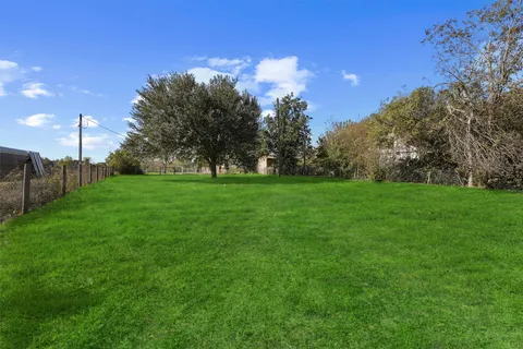 a view of a grassy field with tree in the background