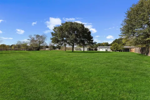 a view of a trees with a big yard