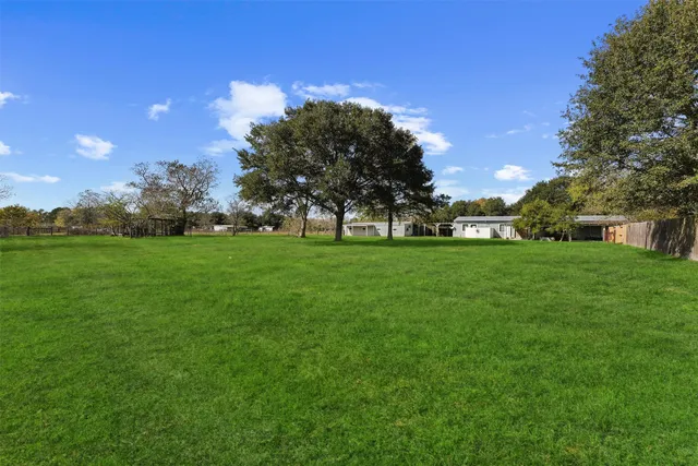 a view of a trees with a big yard