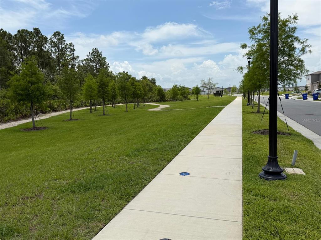 4244 Ranch House Road St. Cloud, FL 34772 - Photo 31 of 34 a view of a garden with a slide