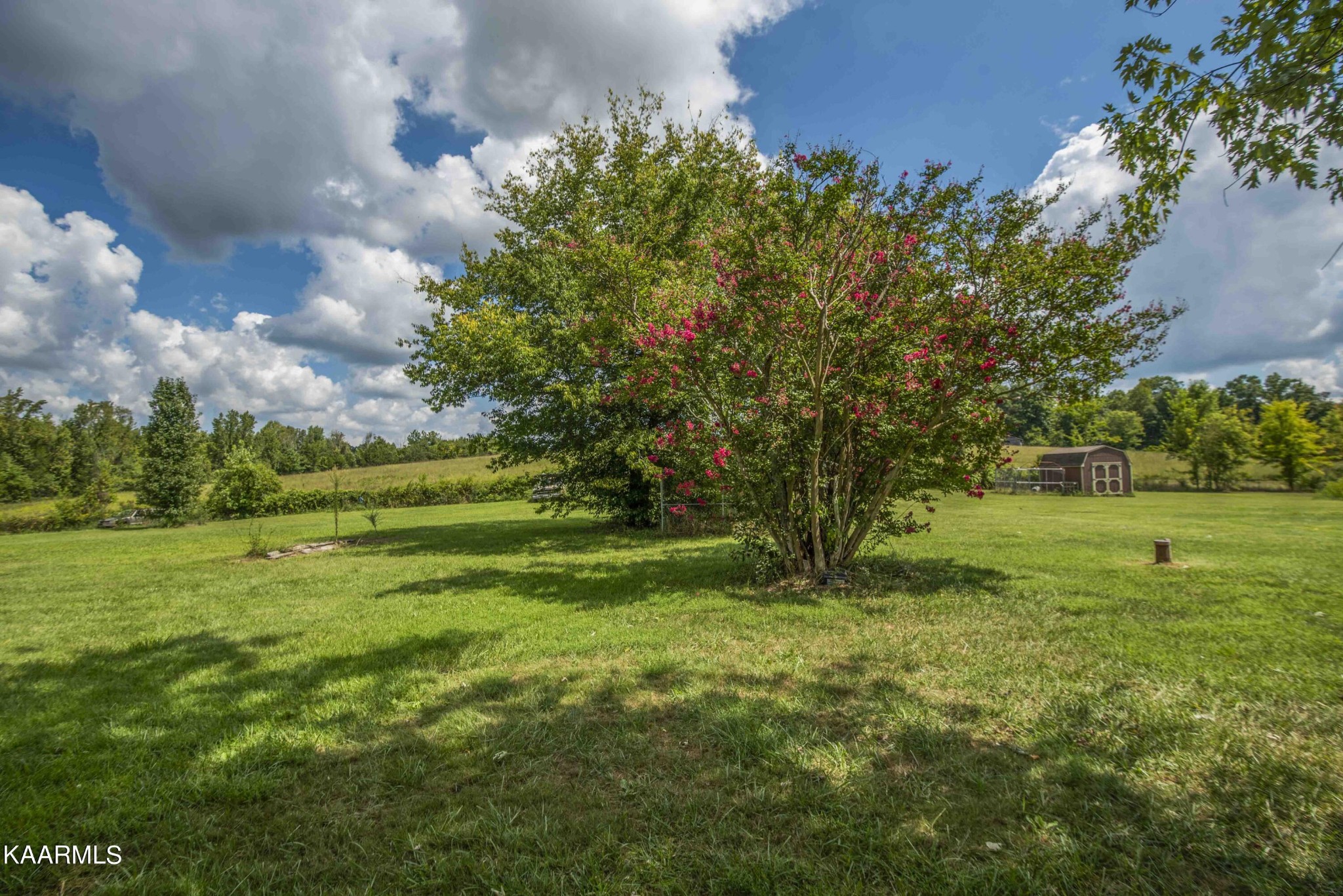 718 Ketner Road Dandridge, TN 37725 - Photo 33 of 41