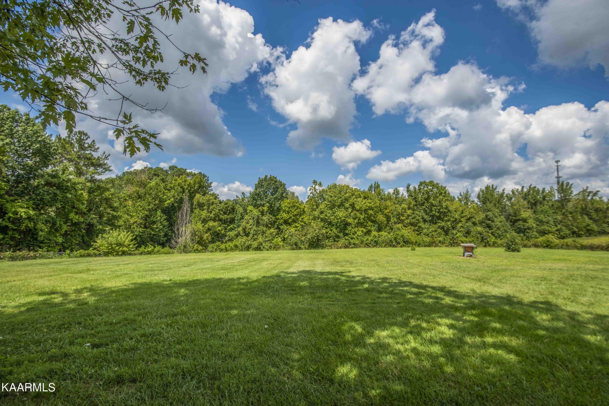718 Ketner Road Dandridge, TN 37725 - Photo 34 of 41