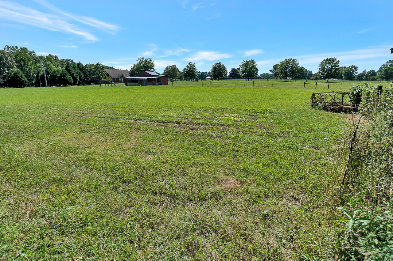 80 Pendergrass Road Flintville, TN 37335 - Photo 22 of 48 a view of a field with grass