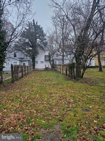 a view of a yard with a large tree