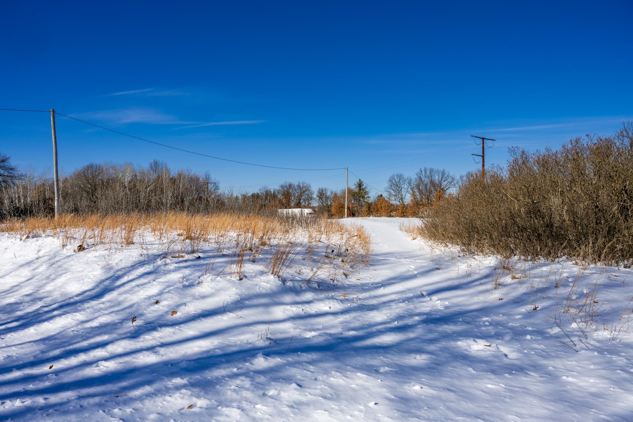 W7190 Welch Prairie Road New Lisbon, WI 53950 - Photo 6 of 21