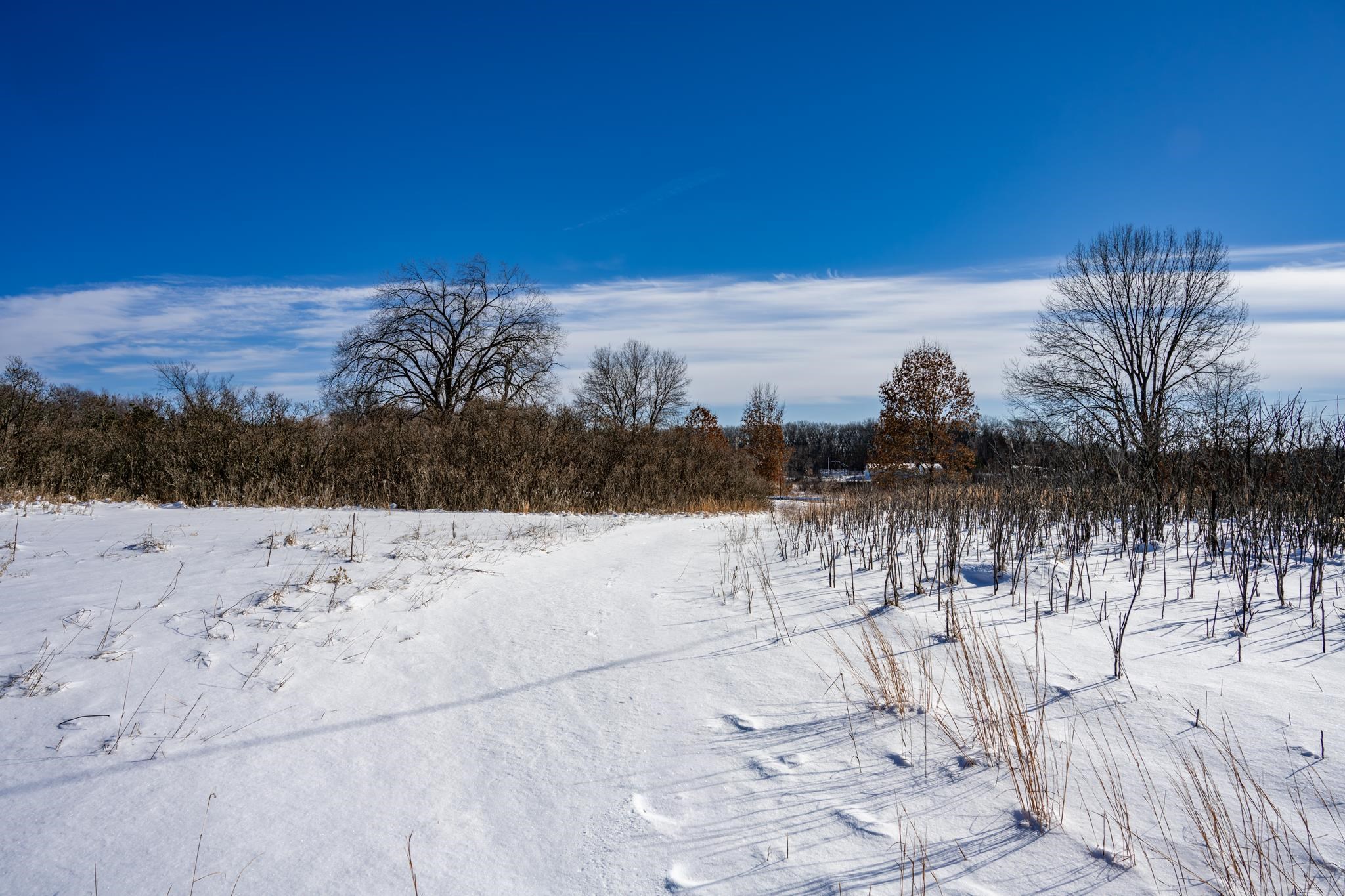 W7190 Welch Prairie Road New Lisbon, WI 53950 - Photo 7 of 21