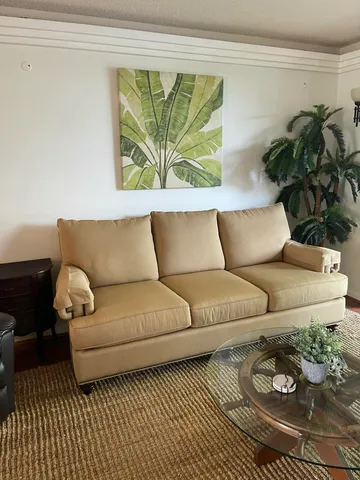 a living room with furniture and a potted plant