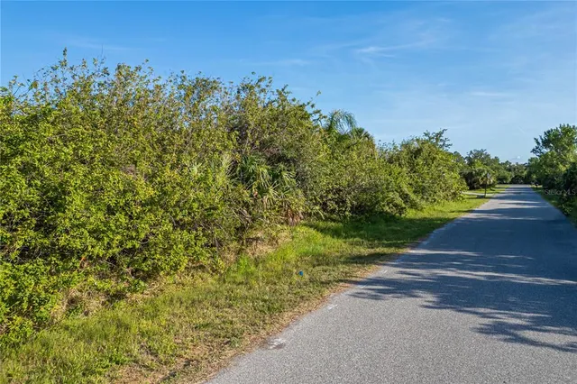 a view of a yard with plants and a bench