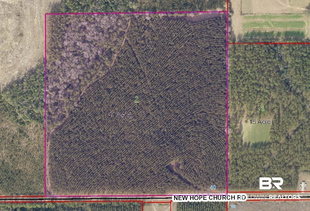 41 New Hope Church Road Robertsdale, AL 36567 - Photo 1 of 5