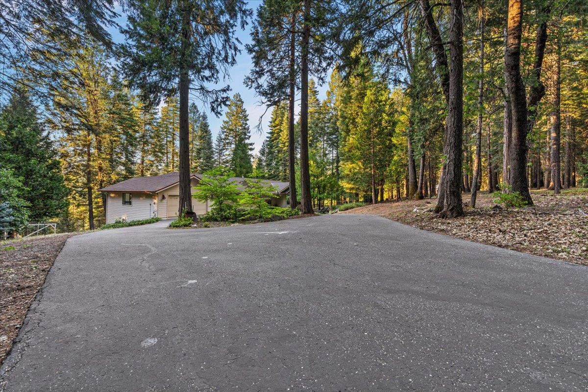 19975 Scotts Flat Road Nevada City, CA 95959 - Photo 48 of 55