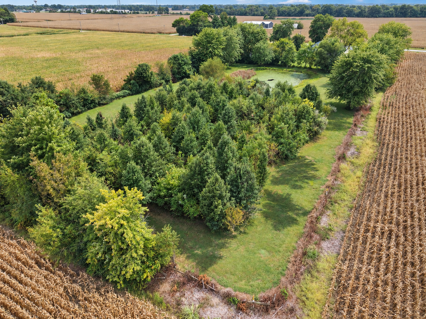 2076 North State Road Flora, IL 62839 - Photo 68 of 100 Gallery Image 68