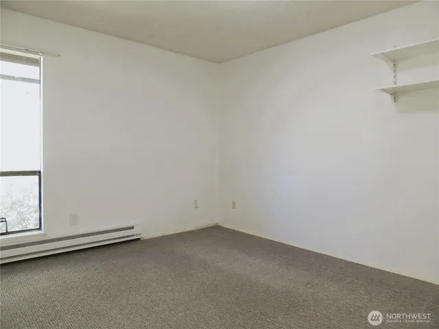 a view of a garden from a window