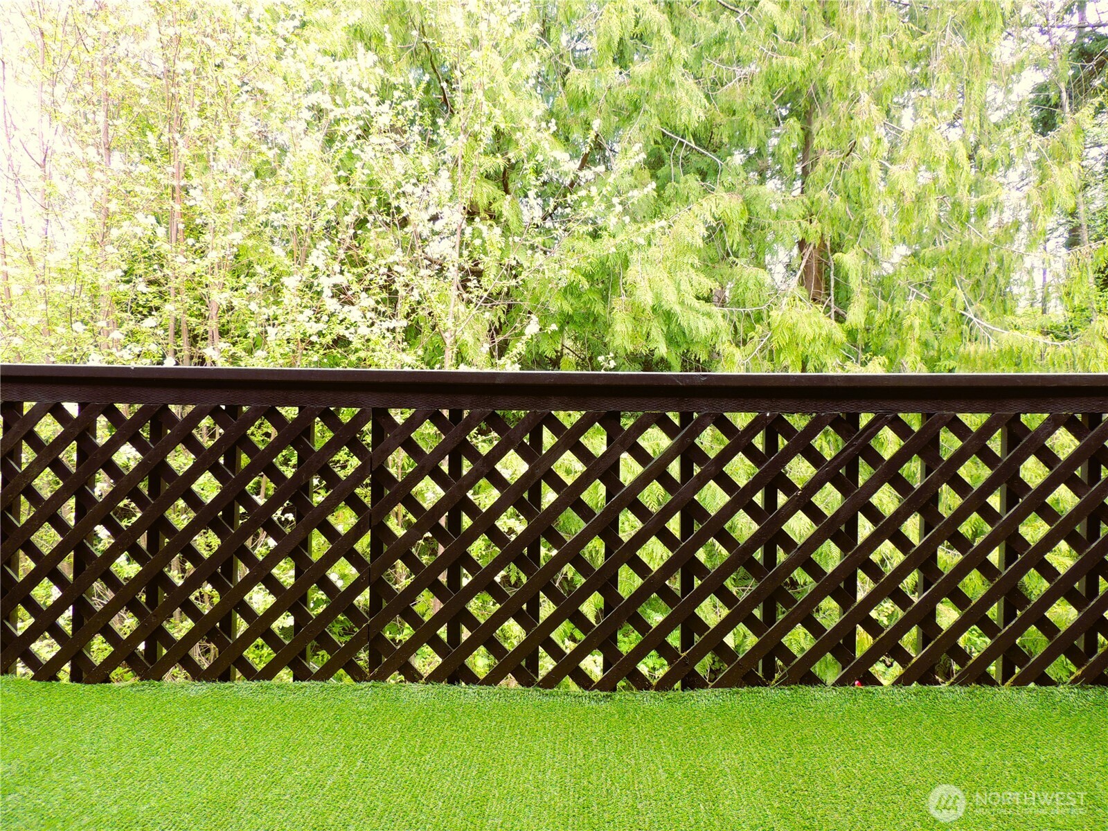 19409 56th Avenue West, Unit 306 Lynnwood, WA 98036 - Photo 15 of 21 a view of a yard