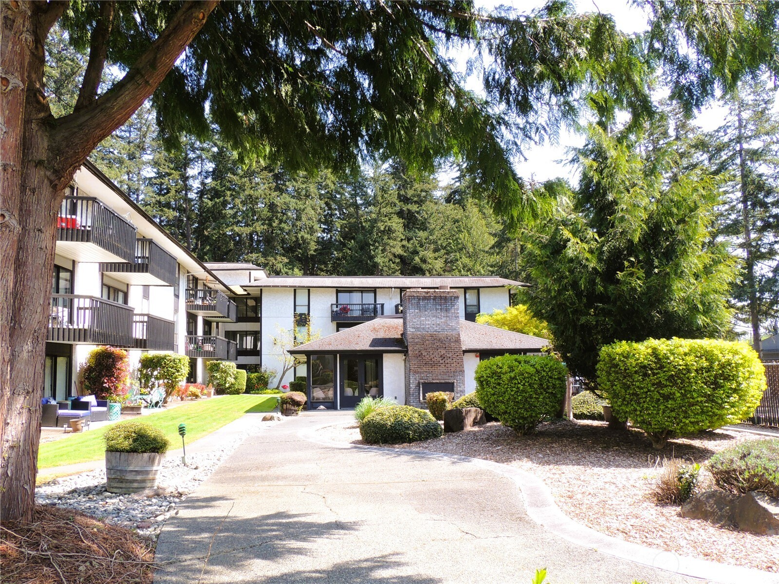19409 56th Avenue West, Unit 306 Lynnwood, WA 98036 - Photo 19 of 21 a front view of a house with a yard and trees