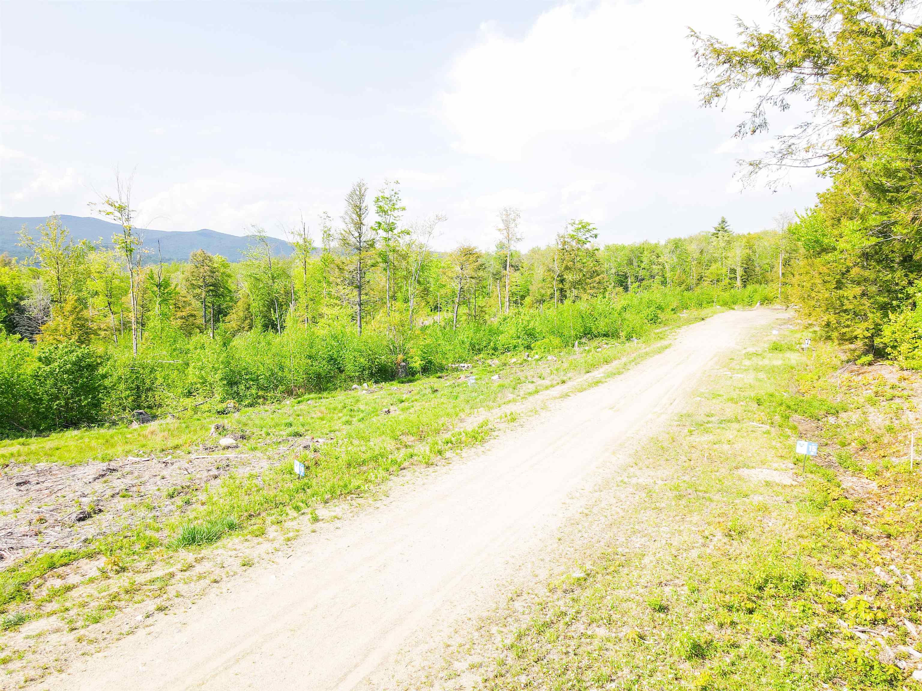 Lot 14 Ridge Field Road Center Tuftonboro, NH 03816 - Photo 20 of 37 Gallery Image 20
