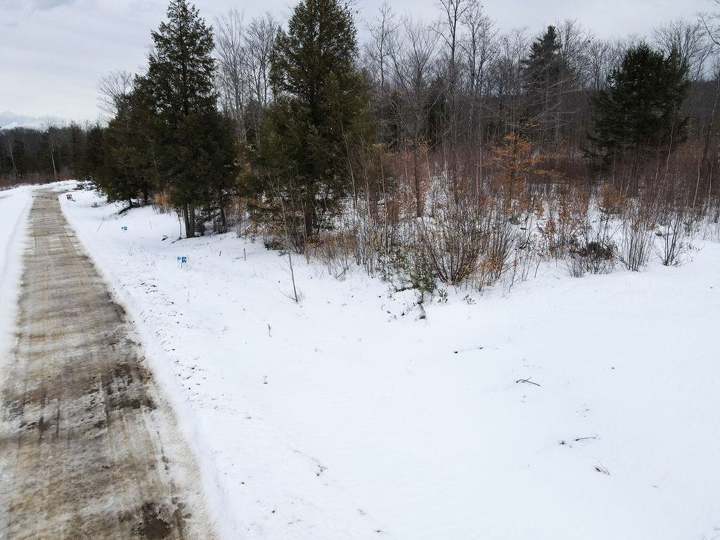 Lot 14 Ridge Field Road Center Tuftonboro, NH 03816 - Photo 29 of 37 Gallery Image 29