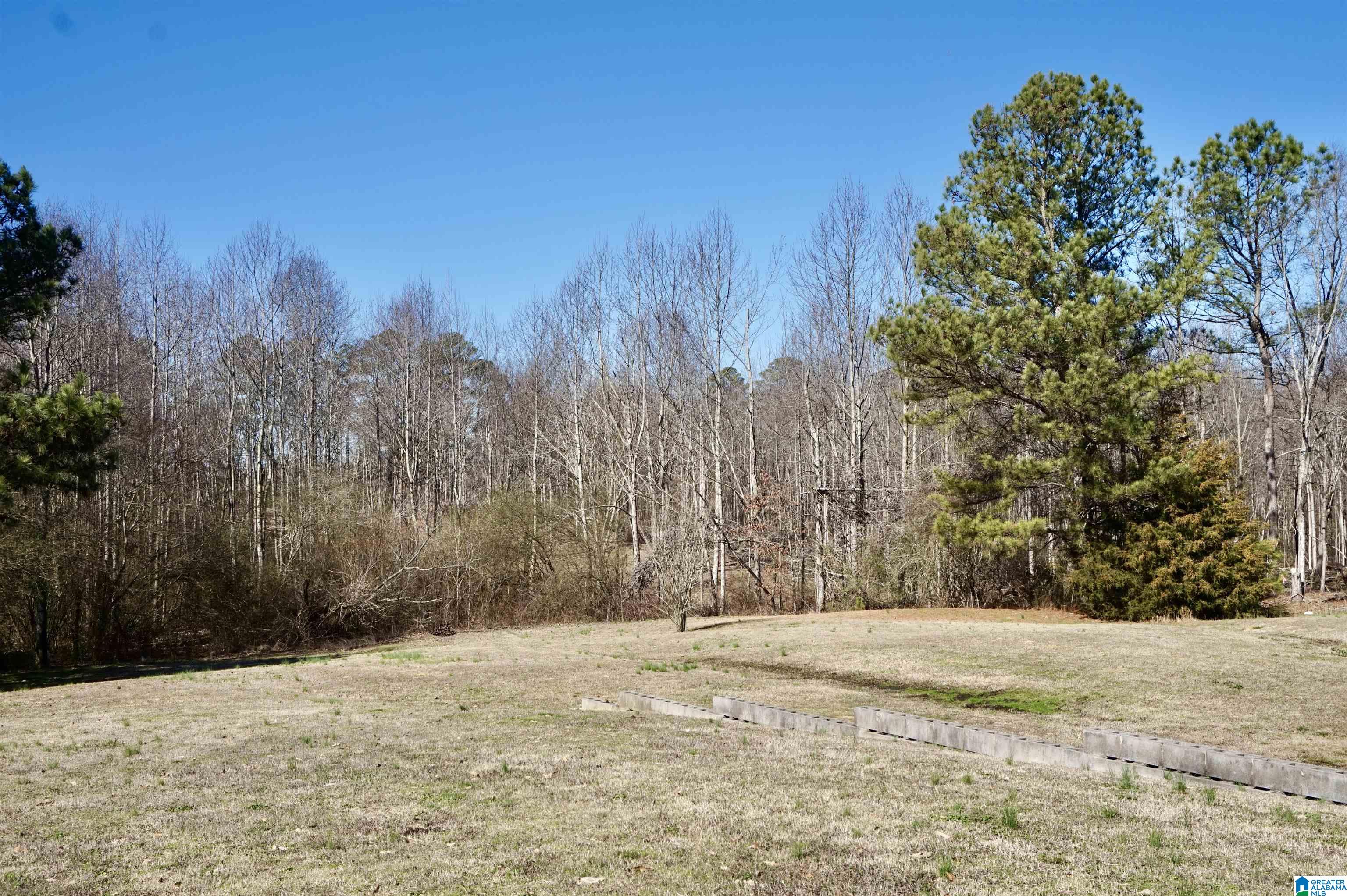 659 Cemetery Road Holly Pond, AL 35083 - Photo 44 of 65