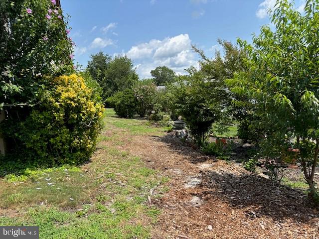 55 Sycamore Access Road Manahawkin, NJ 08050 - Photo 5 of 45 Lush garden path under sunny skies.