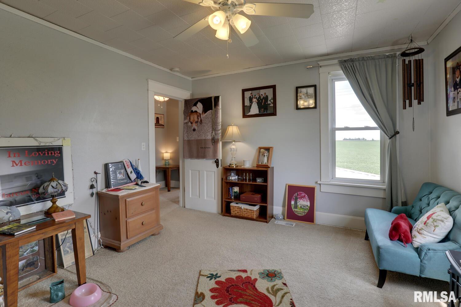 1515 East 1700 N County Road Carthage, IL 62321 - Photo 20 of 33 Gallery Image 20