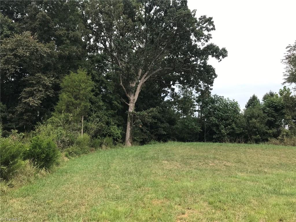 2540 Lacy Holt Road Graham, NC 27253 - Photo 7 of 12 backyard view