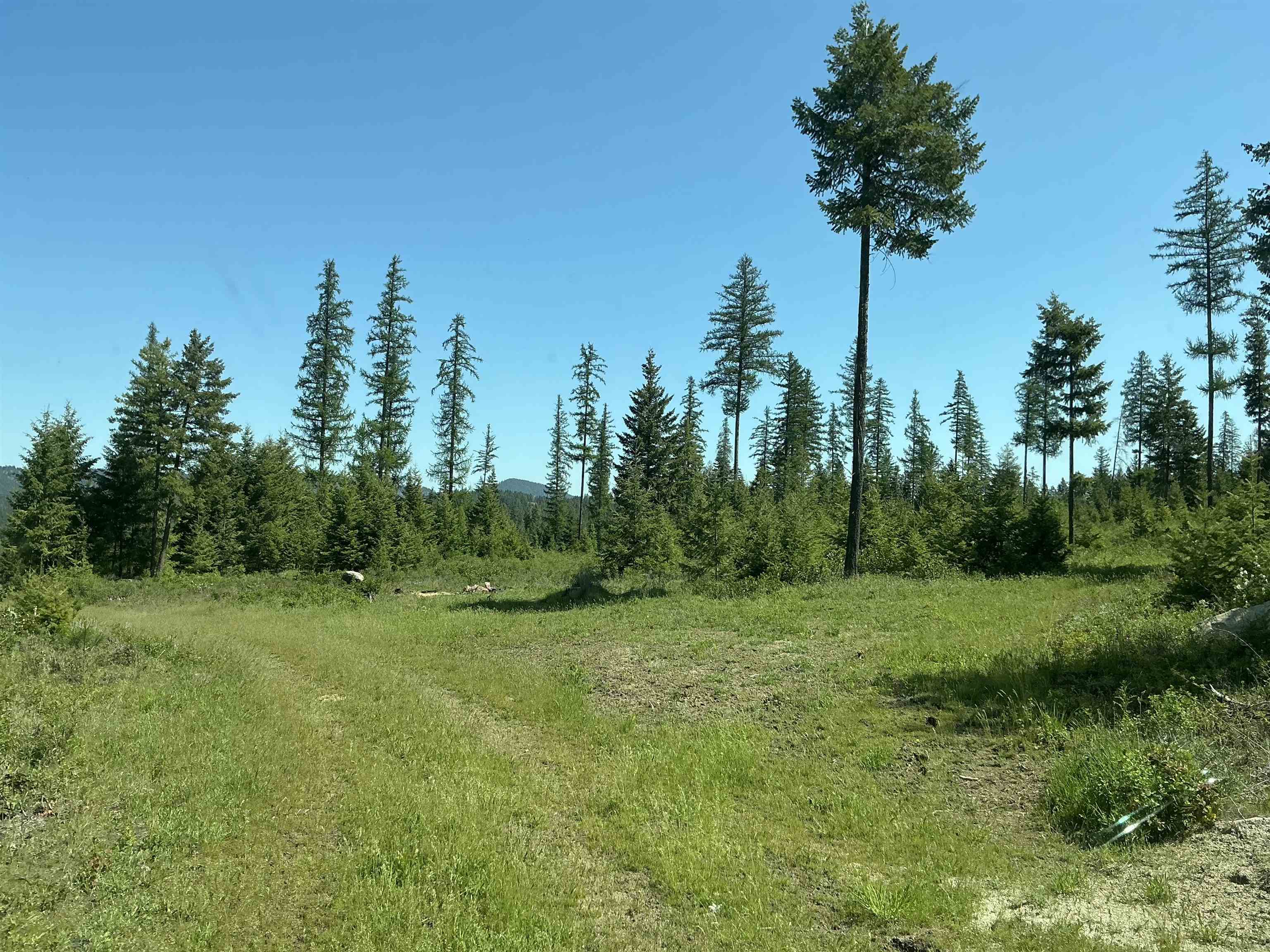 41706 North Elk Camden Road Elk, WA 99009 - Photo 3 of 4