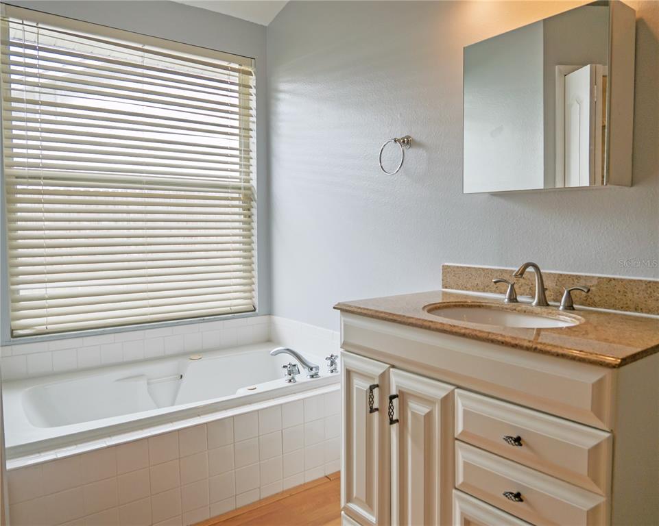 4768 Ridgemoor Circle Palm Harbor, FL 34685 - Photo 20 of 41 a bathroom with a granite countertop sink and a bathtub