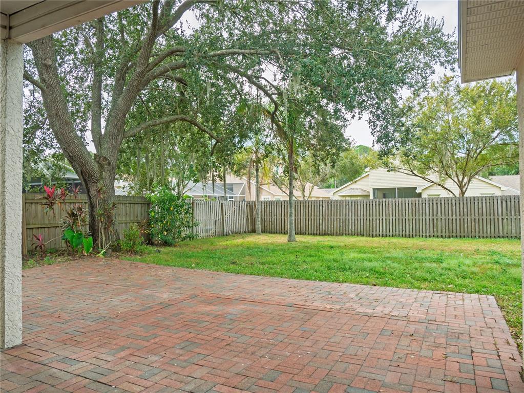 4768 Ridgemoor Circle Palm Harbor, FL 34685 - Photo 30 of 41 a view of a back yard