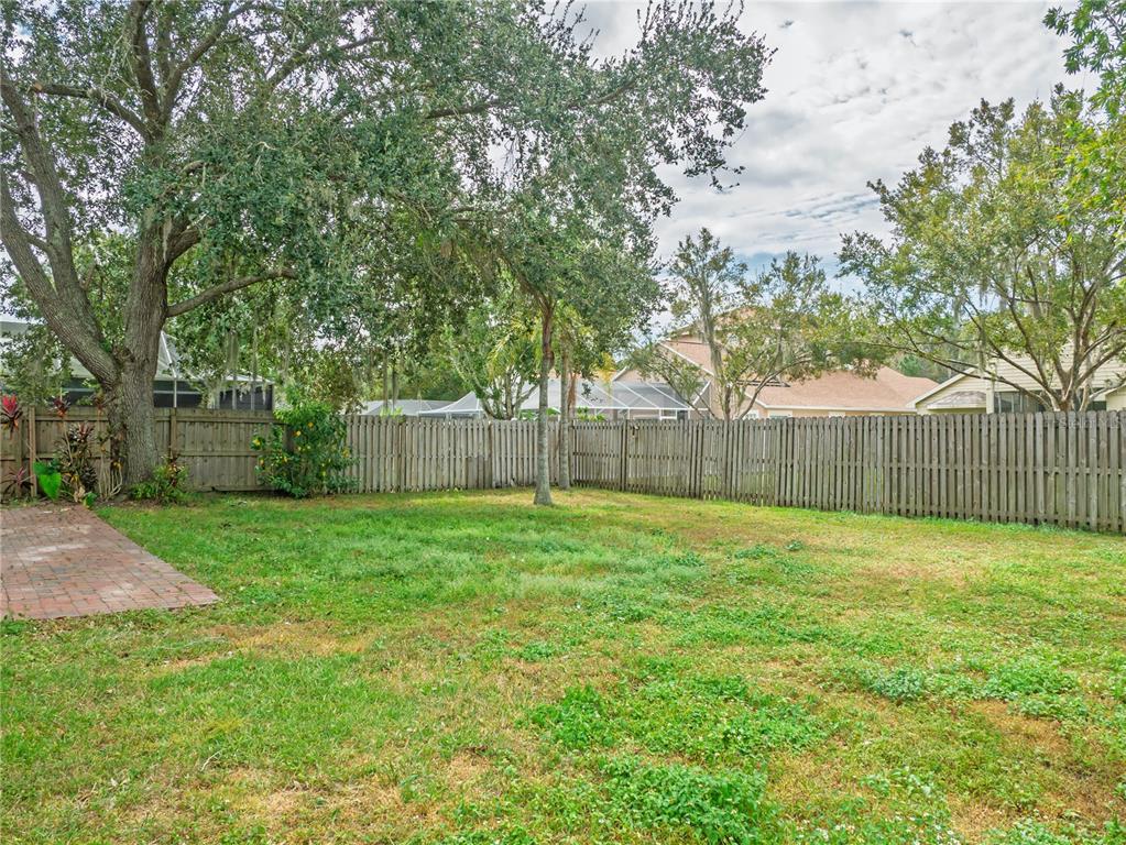 4768 Ridgemoor Circle Palm Harbor, FL 34685 - Photo 34 of 41 a view of a backyard with tree s