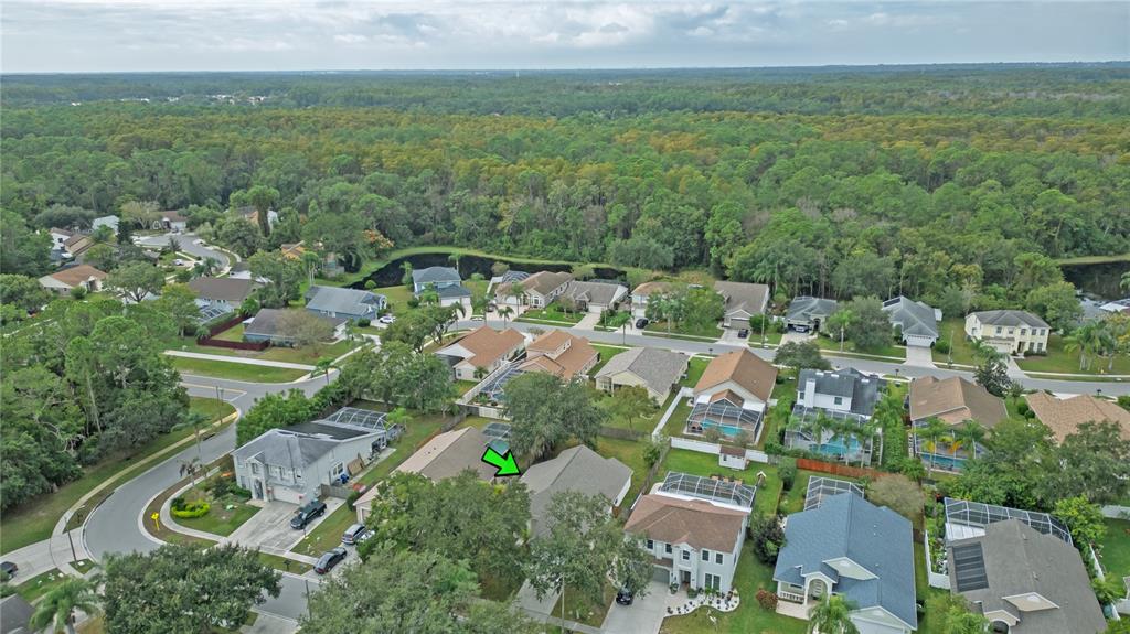 4768 Ridgemoor Circle Palm Harbor, FL 34685 - Photo 36 of 41 a view of a city